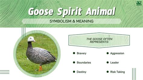 goloso meaning|goose.